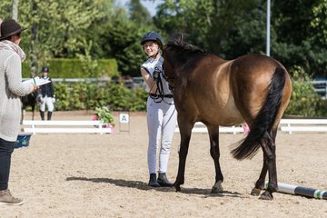 Bild 83 - Pony Akademie Turnier